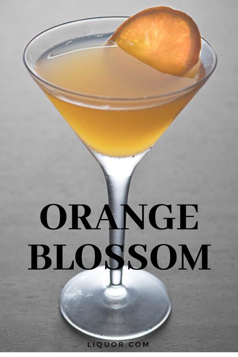 Orange Blossom Cocktail, Vintage Cocktails, Recipe For Teens, Cocktail Appetizers, Orange Cocktails, Gin Cocktail Recipes, Gin Cocktail, Cocktail Drinks Recipes, Fruit Cocktails