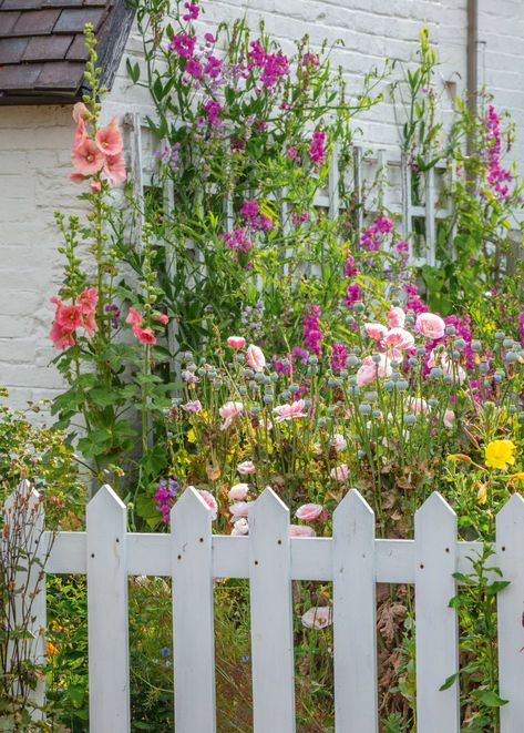 20 trellis ideas – to support plants and add structure to your yard | Real Homes Cottage Backyard Ideas, Timeless Cottage, Shabby Chic Patio, Chic Patio, Cottage Backyard, Garden Plot, Cottage Garden Ideas, Pattern Language, Country Garden Decor