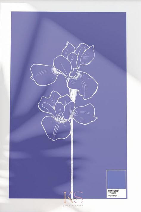 Digital Poster of white line iris on the very peri purple color background – a stunning representation of the Japanese iris in the Pantone color of the year. Elevate your space with the graceful beauty of this iris wall art, capturing the essence of minimalist decor with a pop of purple sophistication. The delicate white iris stands in striking contrast against the very peri backdrop, creating a captivating piece of purple wall art. Purple Color Background, Pantone Poster, Purple Iris Flowers, Japanese Iris, Wall Art Japanese, Iris Painting, Poster Color, White Iris, Purple Wall Art