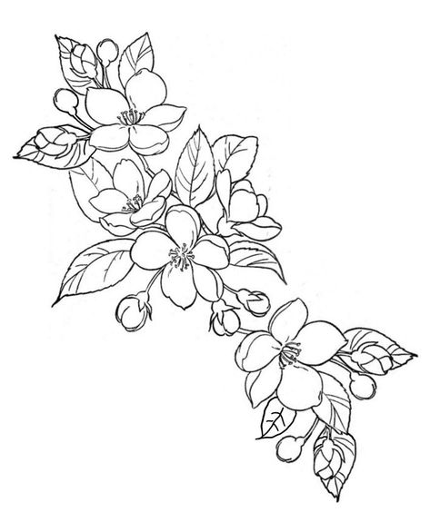 Cherry Blossom Tattoo Stencil, Cherry Blossom Outline, Dotwork Tattoo Mandala, Flower Tattoo Stencils, Line Tattoo Ideas, American Traditional Tattoo Ideas, Traditional Tattoo Ideas, Japan Tattoo Design, Muster Tattoos