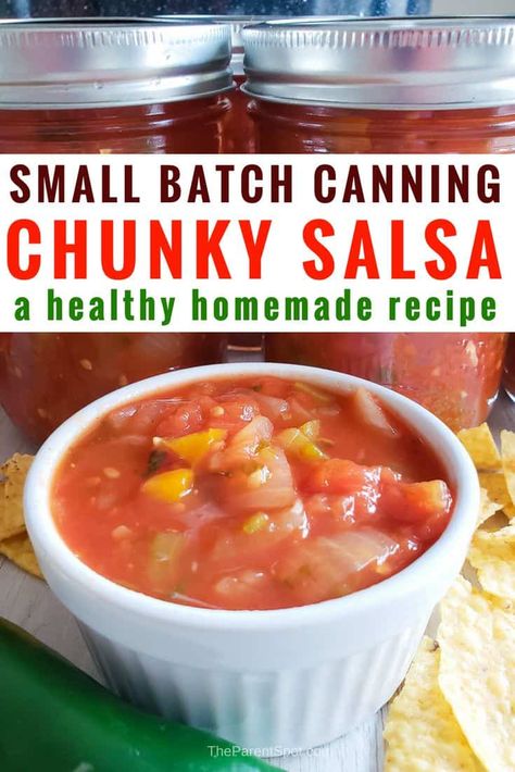 Salsa Canning Recipes Chunky, Canning Chunky Salsa Recipes, Homemade Canned Salsa, Fresh Garden Salsa, Small Batch Canning, Homemade Chunky Salsa, Salsa Recipe For Canning, Salsa For Canning, Garden Salsa Recipe