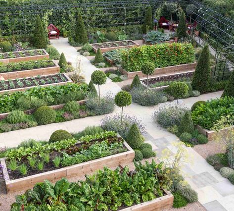 Berkshire Private Estate - Garden Design & Landscaping Project Beautiful Vegetable Garden Design, Beautiful Vegetable Garden, Most Pinned, Potager Garden, Estate Garden, Backyard Vegetable Gardens, Veg Garden, Garden Park, Have Inspiration