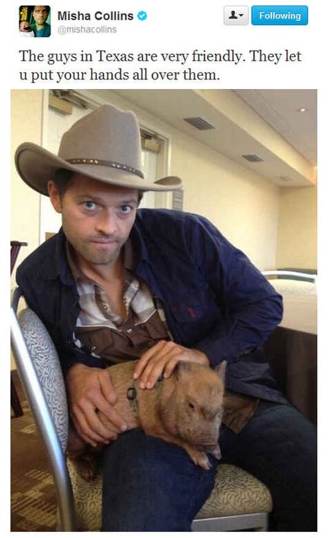 Misha Collins and a service pig. Sammy Supernatural, Jensen And Misha, Mark Sheppard, Supernatural Tv Show, Winchester Boys, Odaiba, Winchester Brothers, Supernatural Cast, Hunting Trip