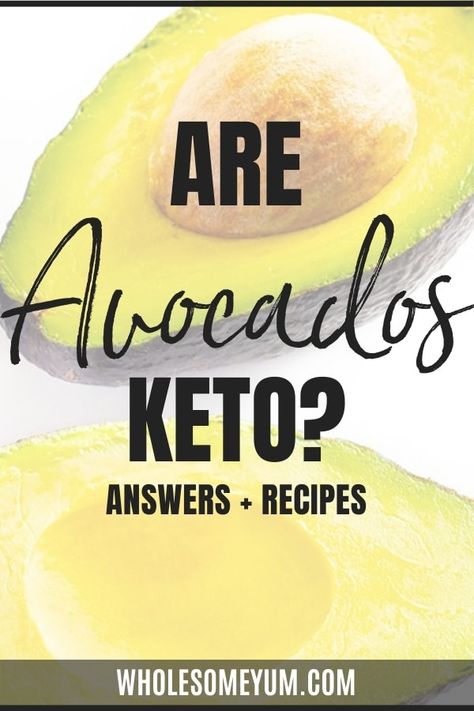 Keto Avacoda Recipes, Avocado Recipes Keto, Keto Avocado Recipes, Avocado Keto, Keto Recipes Avocado, Keto Avocado Recipes Breakfast, Avocado Bread Keto, Avocado Smoothie Keto, Xylitol Recipes