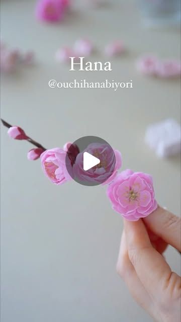 Cold Porcelain Flowers, Made Of, Polymer Clay Flowers, Porcelain Flowers, Clay Flowers, Plum Blossom, Cold Porcelain, Dry Clay, Rice Paper