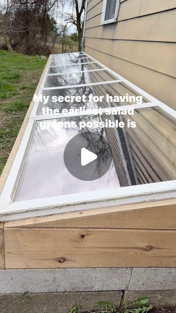 Iv had a cold frame like this for over 7 years now. I love it so much that I don’t plant greens anywhere else on our homestead. I’m a... | Instagram Green House Out Of Old Windows, Greenhouse Out Of Windows, Cold Frame Gardening Plants, Cold Frame Ideas, Winter Cold Frame Gardening, Recycled Window Cold Frame, Diy Cold Frame, Cold Frame Plans, Recycled Window Greenhouse Wood