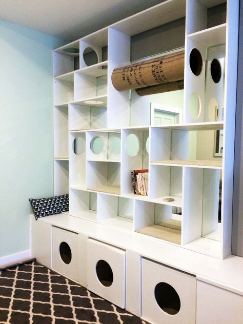 Feline Cafe in Ottawa - Mirrored bookshelf cat tree Diy Bookshelf Cat Tower, Cube Storage Cat Tree, Cat Wall Bookshelves, Cat Tower From Book Shelf, Bookshelf For Cats, Diy Cat Bookshelf, Cat Bookcase Diy, Cat Friendly Bookshelves, Cat Bookshelf Diy