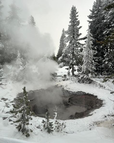 Since winter is coming to an end in Wyoming, I figured I’d share one of my favorite adventures of the season I got to do. We got invited to go on a concierge day with @tetonscience to explore Yellowstone on a snow coach tour to Old Faithful. Since the park is closed to vehicles during the winter, this and taking snowmobiles into the park are the only way to see Yellowstone. It was surreal to explore a practically empty park while hiking through the snowy boardwalks and seeing iconic sight... Wyoming Winter, Yellowstone Winter, Old Faithful, Winter Pictures, Winter Is Coming, The Only Way, Wyoming, Go On, The Park