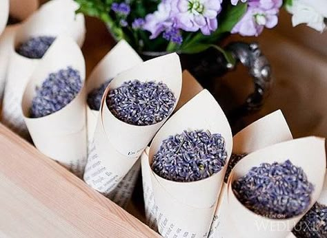 We get intimate with lavender and show you ways to use lavender for your wedding! Dress up a wedding reception, decor, and attire using lavender. Dried Lavender Wedding, Dreamy Wedding Decor, Book Favors, Wedding Toss, Rustic Wedding Decorations, Flower Confetti, Dried Lavender Flowers, Wedding Exits, Wedding Favors Cheap