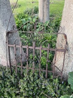 vintage wrought iron gate between two trees Wrought Iron Decor Outdoor, Victorian Fence, Metal Fence Gates, Rustic Garden Fence, Metal Garden Gates, Iron Garden Gates, Small Fence, Fencing Ideas, Wrought Iron Decor