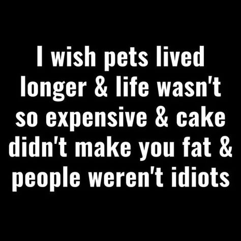 Anti Humor, Life Is Funny, Funny Life Quotes, Funny Life, Quotable Quotes, Live Long, Sarcastic Quotes, Funny Signs, Wise Quotes