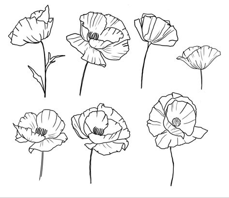 Poppy Flower Tattoo Stencil, Poppy Flower Stencil, Stephanotis Tattoo, Flower Tattoo Stencils, Poppy Flower Tattoo, Poppies Tattoo, Tattoo Templates, Flower Stencil, Body Is A Temple