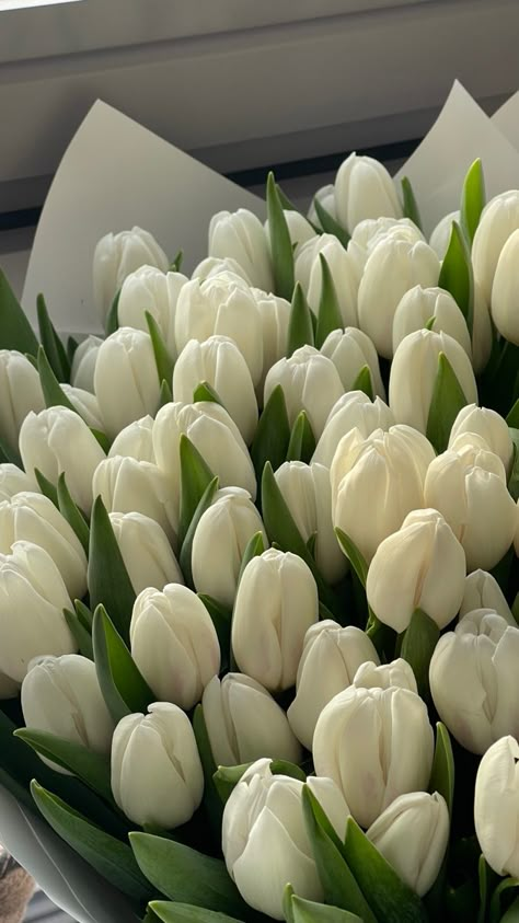 Tulip Flower Pictures, Flowers Instagram, Boquette Flowers, Nothing But Flowers, Flower Therapy, White Tulips, Beautiful Bouquet Of Flowers, Luxury Flowers, Tulips Flowers