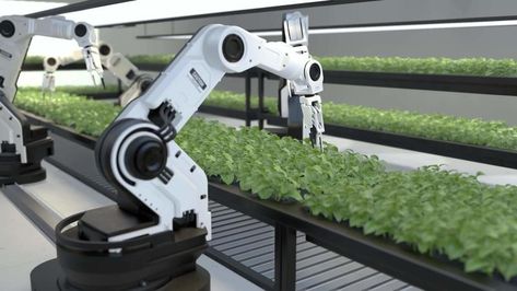 Smart robotic farmers concept, robot farmers, Agriculture technology, Farm automation Agriculture Technology, Smart Farm, Agriculture, Stock Video, Stock Footage, Farmer, For Free, Technology