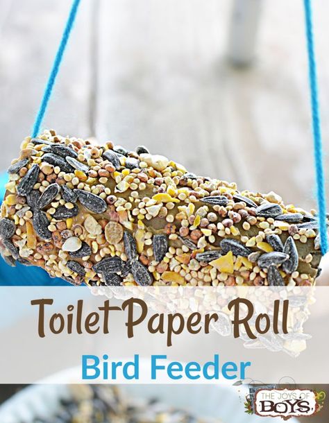 This toilet paper roll bird feeder is such an easy and fun craft! Kids will love hanging this in the tree and watching for the different birds to come into their yard. This would also be a great camping craft! Toilet Paper Roll Bird Feeder, Paper Roll Bird Feeder, Toilet Paper Roll Bird, River Activities, Camping Craft, June Art, Science Discovery, Bird Feeder Craft, Camping Activities For Kids