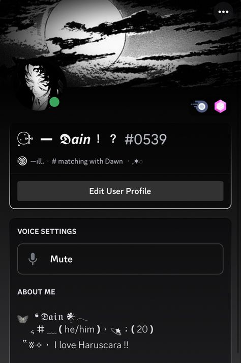 Discord Users, Dc Profile, Aesthetic Iphone Organization, Discord Profile Ideas, Discord Theme, Discord Themes, Discord Layout, Aesthetic Usernames, Cute Bios