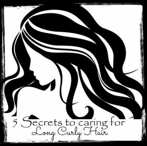 5 Secrets to caring for long curly hair #ad #BeautyStory  http://mamato5blessings.com/2015/05/beautystory-secrets-caring-long-curly-hair/ Table Painting, Stylist Tools, Hairstylist Tools, Hair Clipart, Austin Rose, Hair Logo, Interior Desig, Beauty Salon Design, Free Clipart Images