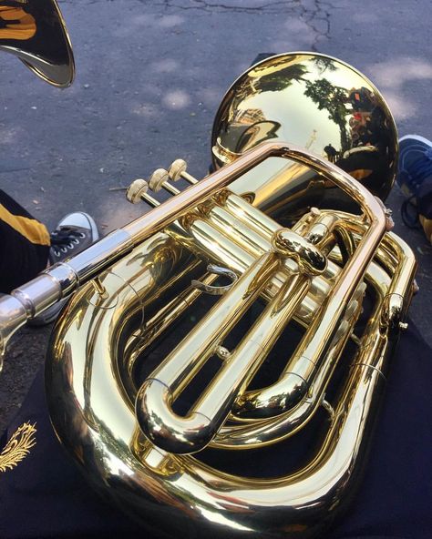 Marching Band Aesthetic Baritone, Baritone Aesthetic, Aesthetic Trumpet, Tuba Instrument, Marching Baritone, Crimson Aesthetic, Instrument Aesthetic, Classical Music Aesthetic, Charlotte Aesthetic