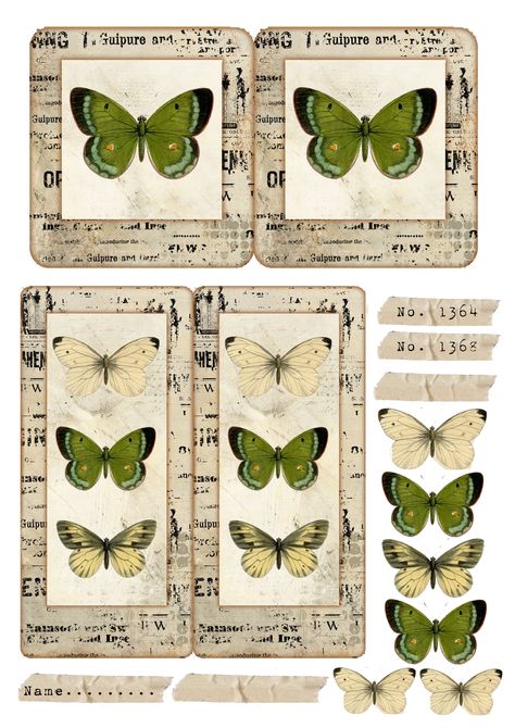 Specimen Cards, Collage Items, Free Ephemera, Butterfly Journal, Edith Holden, Study Stuff, Papel Vintage, Free Vintage Printables, Vintage Ideas