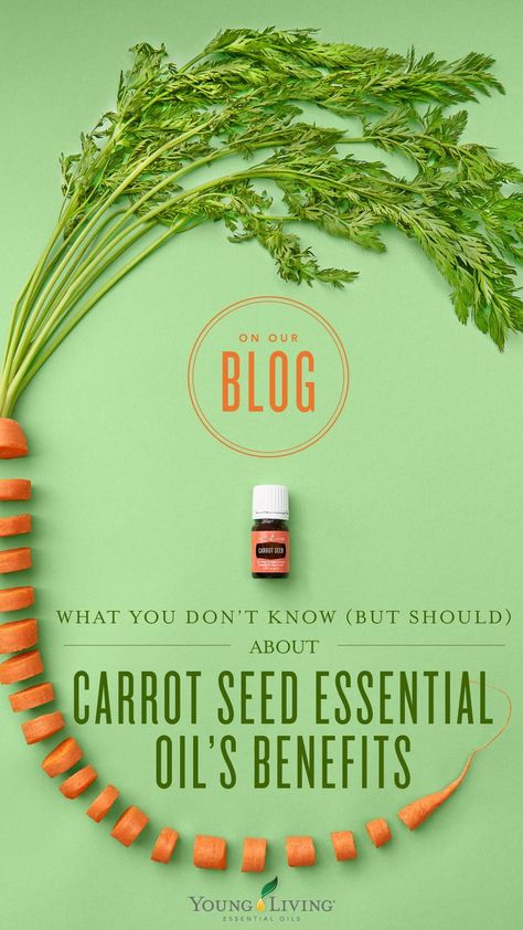 Carrot Seed Oil Benefits, Carrot Seed Essential Oil, Carrot Benefits, Essential Oil Education, Natural Oils For Skin, Yl Essential Oils, Carrot Seed Oil, Diy Body Care, Carrot Seeds