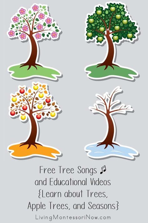 Free tree songs, rhymes, and educational videos for a variety of ages; perfect for homeschool or classroom for a tree theme, apple tree theme, or seasons theme - Living Montessori Now #freesongs #circletime #educationalvideos #freetreesongs #freeapplesongs #appletheme #seasons Tree Songs For Preschool, Apple Tree Song, Tree Unit, Apple Unit Study, Apple Song, Kindergarten Poems, Montessori Activities Preschool, About Trees, Fall Songs