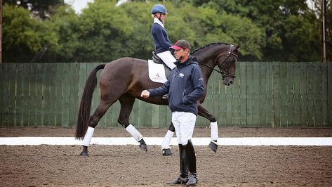 Dressage Tests, Dressage Exercises, Buy A Horse, Dressage Training, Riding Tips, Horse Exercises, Horse Riding Tips, Horse Dressage, Andalusian Horse