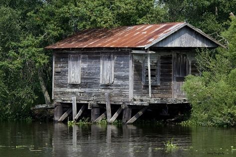 A Bayou Mansion! | Best: View On Black An old fishing, hunti… | Flickr Bayou House, Louisiana Swamp, Abandoned Architecture, Louisiana Bayou, Fishing Shack, Louisiana Cajun, Louisiana Homes, Creepy Houses, The Bayou