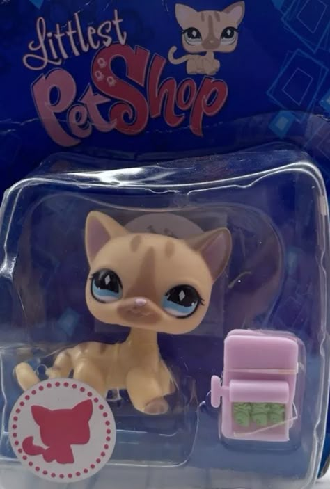 Littlest Pet Shop 2000s, Lps Aesthetic, Lps Shorthair, Aesthetic Toys, Lps Popular, Lps Toys, Lps Pets, Lps Littlest Pet Shop, Nostalgic Toys