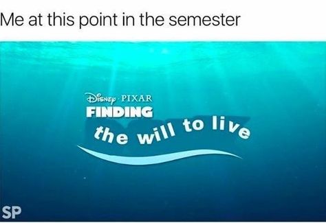 Will To Live, College Memes, Going To University, Humor Videos, Memes Hilarious, School Memes, College Humor, Memes Humor, Humor Memes