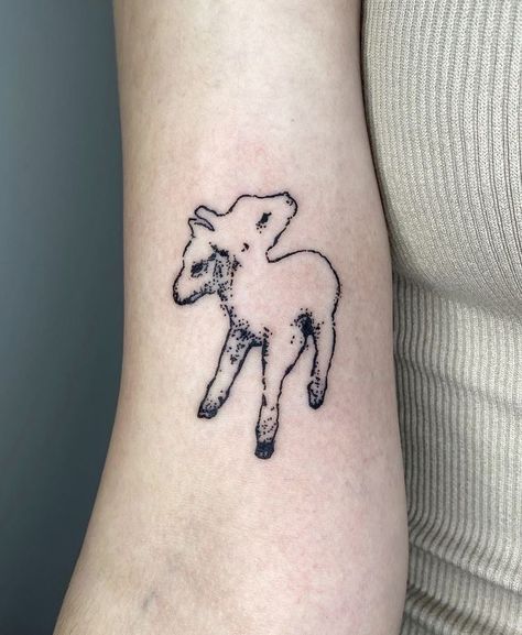 Two Head Animal Tattoo, Calf With Two Heads Tattoo, 2 Headed Lamb Tattoo, Two Headed Sheep Tattoo, Two Headed Dog Tattoo, Lamb Head Tattoo, Double Headed Animal Tattoo, Lamb Tatoos, Two Headed Calf Tattoo Simple