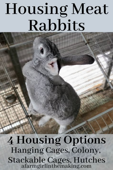 What To Do With Rabbit Pelts, Meat Rabbit Set Up, Meat Rabbits Housing, Meat Rabbits Breeds, Meat Animals, Rabbit Tunnel, Rabbit Recipe, Rabbit Recipes, Rabbit Hutch Indoor