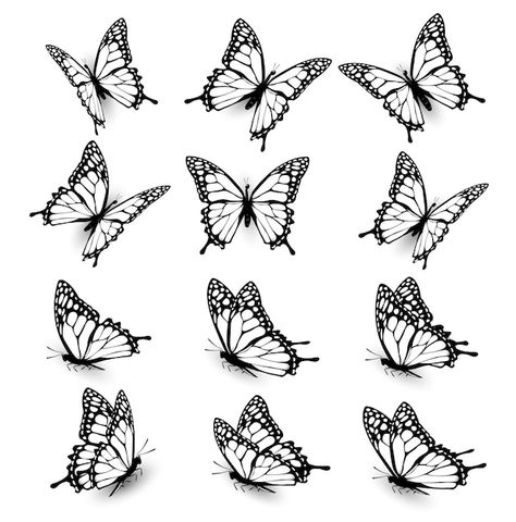 Flying Monarch Butterfly Tattoo, Butterfly Drawing Different Angles, Seven Butterflies Tattoo, Butterflie Tattoo Design, Butterfly Monarch Drawing, Monarch Butterfly Wings Drawing, Butterfly In Flight Drawing, Swallowtail Butterfly Outline, Butterflies In Different Angles