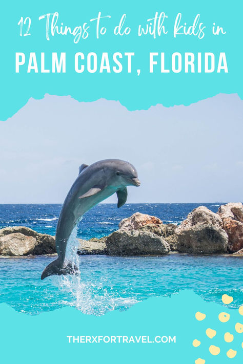 Discover 12 fun activities to enjoy with kids in Palm Coast, Florida! From beach adventures to parks and local attractions, this list guarantees family-friendly fun. Plan your perfect family day out!   palm coast florida | palm coast florida things to do | palm coast florida beaches | palm coast florida european village Palm Coast Florida Things To Do, Florida With Kids, Palm Coast Florida, European Village, Places In Florida, Things To Do With Kids, Palm Coast, Beach Adventure, Family Days Out