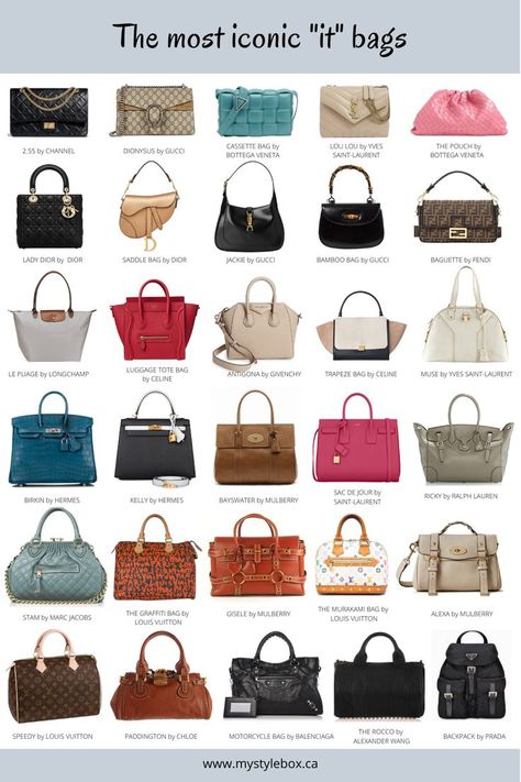 The most iconic IT bag Types Of Handbags, Luxury Bags Collection, Stylish Purse, Fashion Vocabulary, Stylish Handbags, Classic Handbags, Luxury Purses, Fancy Bags, Celine Luggage Bag