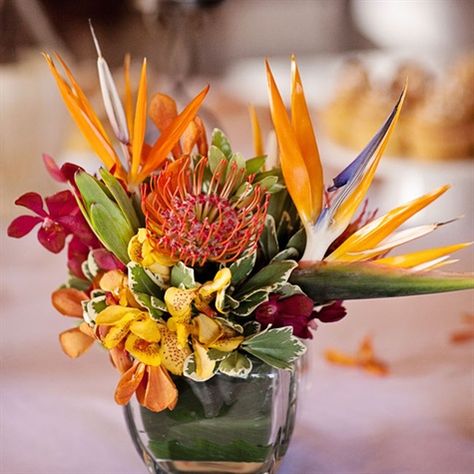 Bird of Paradise Centerpieces Tropical Flower Arrangements Wedding, Bird Of Paradise Wedding, Tropical Wedding Centerpieces, Tropical Centerpieces, Bird Of Paradise Flower, Wedding Birds, Tropical Floral Arrangements, Tropical Flower Arrangements, Paradise Wedding