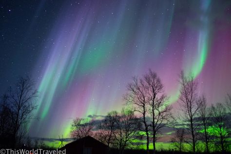 The Best Place to See Northern Lights in Norway | This World Traveled Blogging Camera, Northern Lights In Norway, Northern Lights Photography, Underwater House, Northern Lights Norway, Lights Photography, The Aurora Borealis, Aurora Borealis Northern Lights, Norway Travel