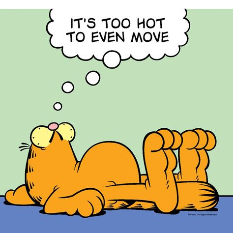 It's too hot to even move Warm Weer Humor, Attitude Cat, Weather Humor, Garfield Quotes, Hot Weather Humor, Hot Meme, Garfield Pictures, Weather Memes, Hate Summer