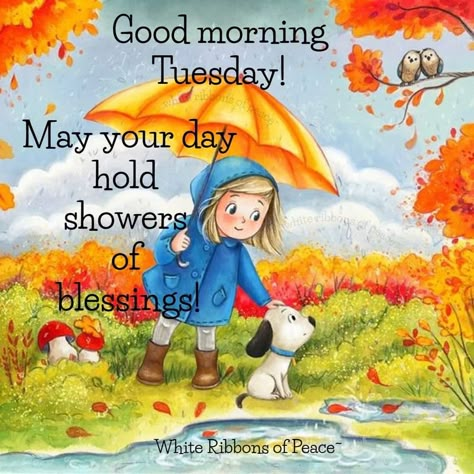 Tuesday Rainy Day Quotes, Rainy Tuesday Mornings, Good Morning Rain, Rainy Good Morning, Rain Crafts, Rainy Tuesday, Happy Tuesday Morning, Rainy Day Quotes, Tuesday Quotes Good Morning