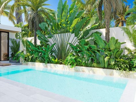 Tropical Pool Plants, Plants Around Pool, Tropical Pool Landscaping, Pool Plants, Outdoor Pool Area, Tropical Garden Design, Pool Landscape Design, Small Pool Design, Tropical Pool