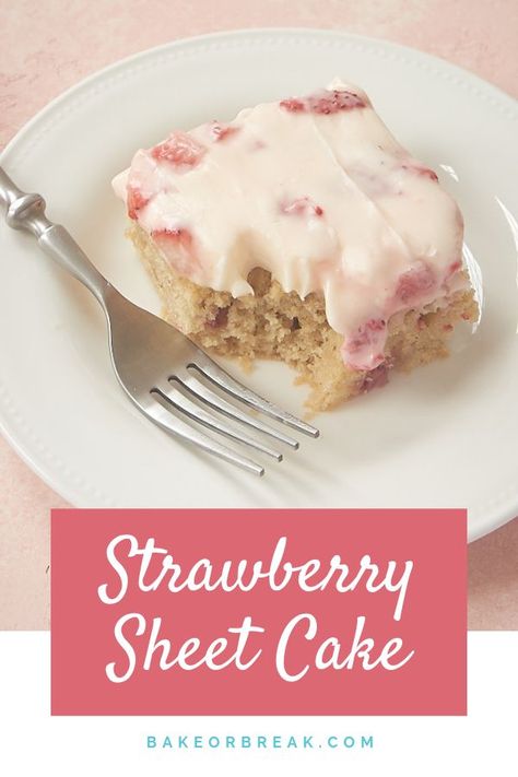 Strawberry Sheet Cake Recipe, Strawberry Sheet Cake, Strawberry Shortbread, Strawberry Sheet Cakes, Strawberry Scones, One Layer Cakes, Cake Strawberry, Strawberry Cake Recipes, Sheet Cakes