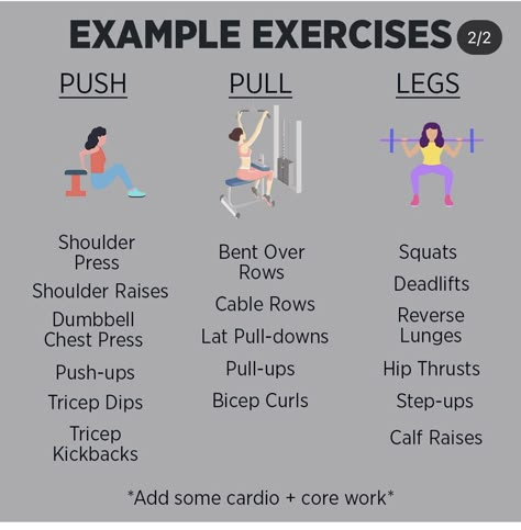 Push Pull Legs Workout Women, Push Day Workout Women Beginner, Push Pull Legs Workout Plan For Women Beginner, Push Pull Legs Workout Plan For Women, Pull Day Workout Women, Push Day Workout Women, Compound Workouts, Push Exercises, Pull Exercises