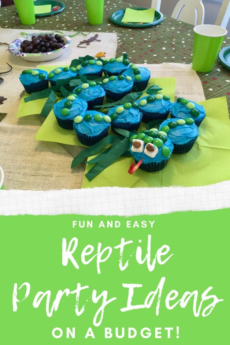 Fun and Easy Reptile Birthday Party Ideas on a Budget - Brooke Grangard Reptile Birthday Party Ideas, Birthday Party For Him, Reptile Birthday Party, Party Ideas On A Budget, Snake Birthday, Snake Party, Reptile Party, Green Tissue Paper, Rabbit Cages