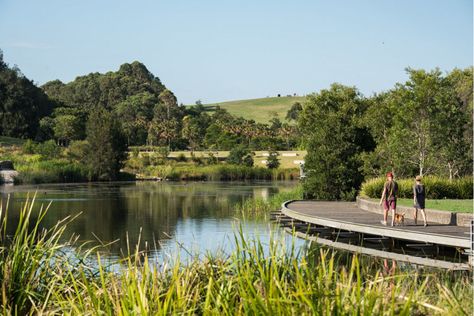 Sydney Park wins gong at Architizer A+ Awards in New York Turf Design, Sydney Park, Williamsburg Bridge, Water Projects, City Lifestyle, Water Management, Urban Oasis, Lake Landscape, Plant Roots