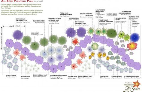 Planting Design Plan, Evergreen Landscape Front Yard, Colorado Landscaping, Digital Garden, Front Landscape, Landscape Design Drawings, Uc Davis, Garden Plan, Hillside Landscaping
