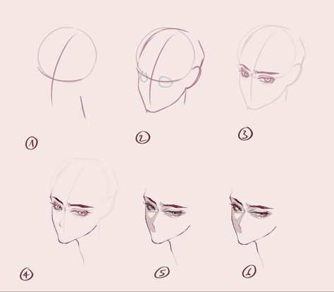 3/4 view from above Reference Face Drawing, Head Base, 얼굴 드로잉, Drawing Tutorial Face, Drawing Eyes, Face Drawing Reference, Drawing Examples, Manga Drawing Tutorials, Drawing Heads