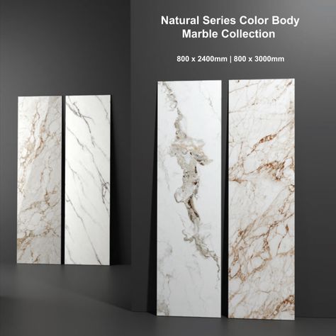 Amolite - Full Body Vitrified Slab in the varied sizes of 800x3000mm and 800x2400mm to beautify your biggest dreams with unmatched fines and perfection. Ensuring fewer design flaws and pattern deformities, continua+ adds more to production, quality, and variety. Marble Collection, Dream Big, Full Body, Tile Floor, Tile, Marble, Flooring, Pattern, Design