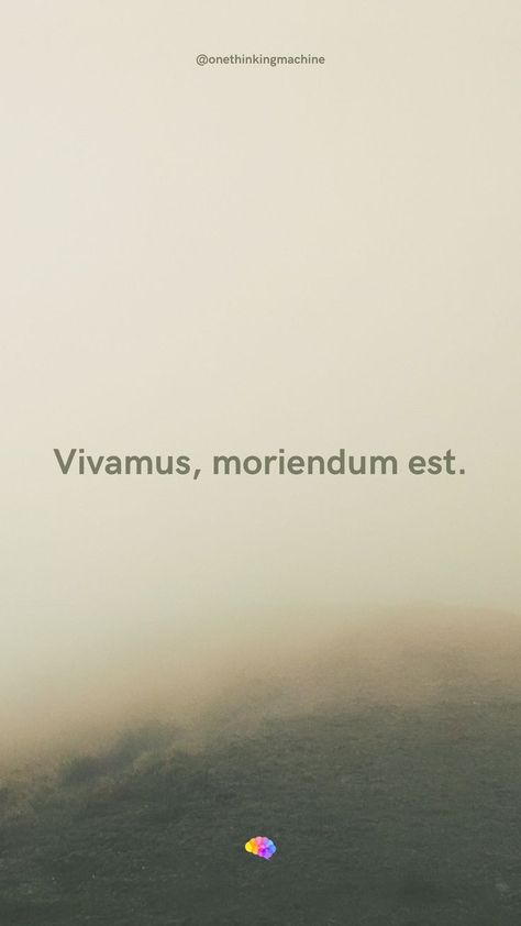 "Vivamus, moriendum est" is a quote attributed to the philosopher Seneca which means "Let us live, since we must die''. Life is too short to be worried, so we might just have fun and enjoy it as we can. #vivamusmoriendumest#motivationalquotes#motivation#inspiration#inspirationalquotes#quotesaboutlife#quotestoliveby#thinkpositive#onethinkingmachine#oneday Let Us Live Since We Must Die, Short Philosophical Quotes, Vivamus Moriendum Est, Est. Tattoo, Die Wallpaper, 2023 Mood, Outfit Aesthetics, Latin Quotes, Life Is Too Short Quotes