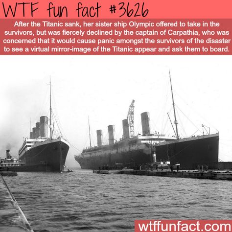 Titanic Facts, Titanic History, Titanic Ship, Facts Funny, Titanic Movie, Creepy Facts, The Titanic, Movie Facts, Interesting History