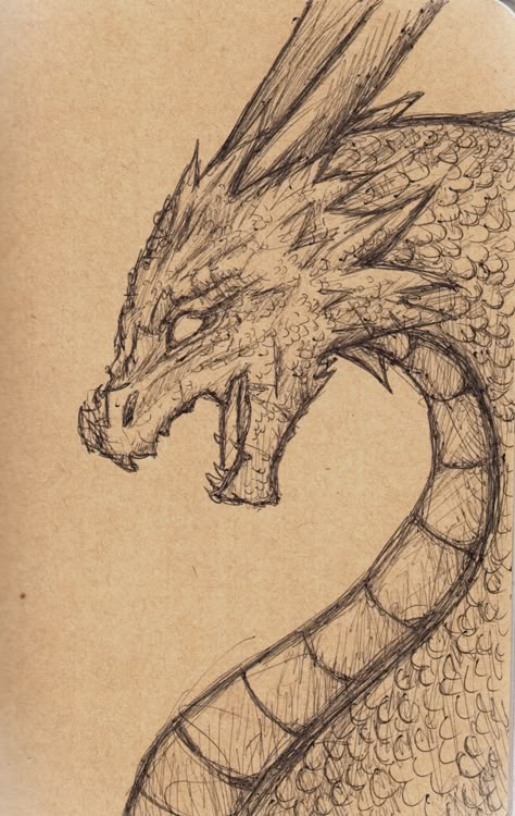 Dangerous Animals Drawing, Dragon Simple Design, Wyvern Drawing Reference, Caraxes Dragon Drawing, Dragon Pen Drawing, Art Sketches Dragon, Cool Dragon Drawings Easy, Big Drawings Ideas Sketch, Dragon Drawing Sketches Simple