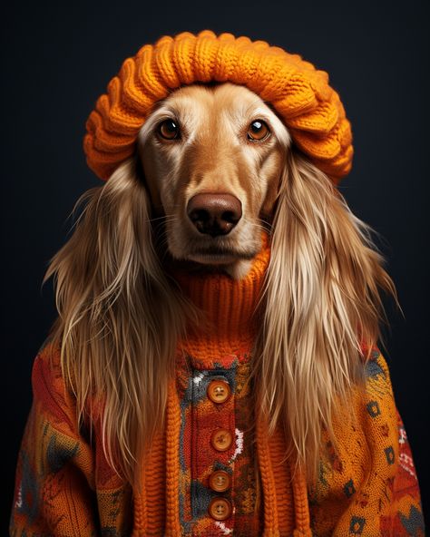 An Afghan Hound wearing orange sweater and hat. AI-generative art created using MidJourney. Dog Wearing Clothes, Dressed Up Dogs, Surealism Art, English Home, Animal Portraits Art, Orange Sweater, Afghan Hound, Lowbrow Art, Pet Costumes